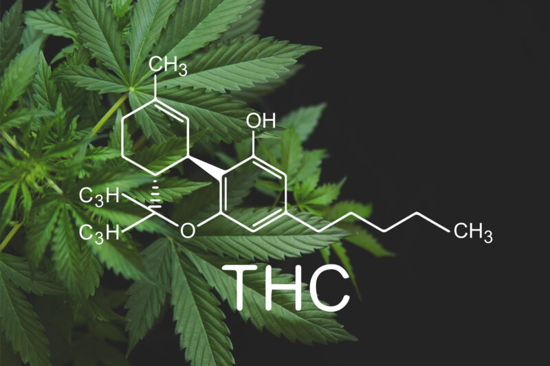 Comprendre La Diff Rence Entre Thc Et Cbd Atmosph Re Cbd Vente De