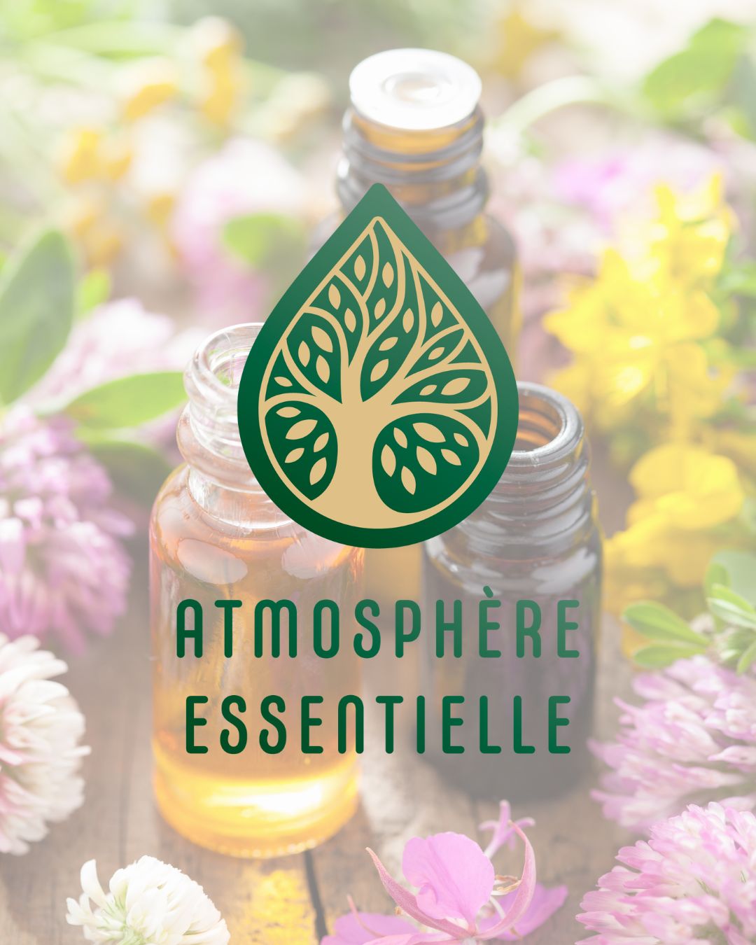 You are currently viewing Atmosphère CBD élargit son univers avec les huiles essentielles : une alliance naturelle pour votre bien-être