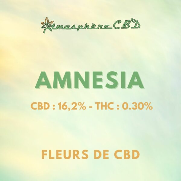 Amnesia