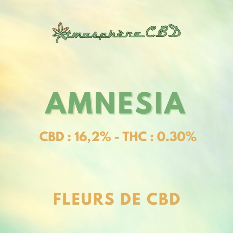Amnesia