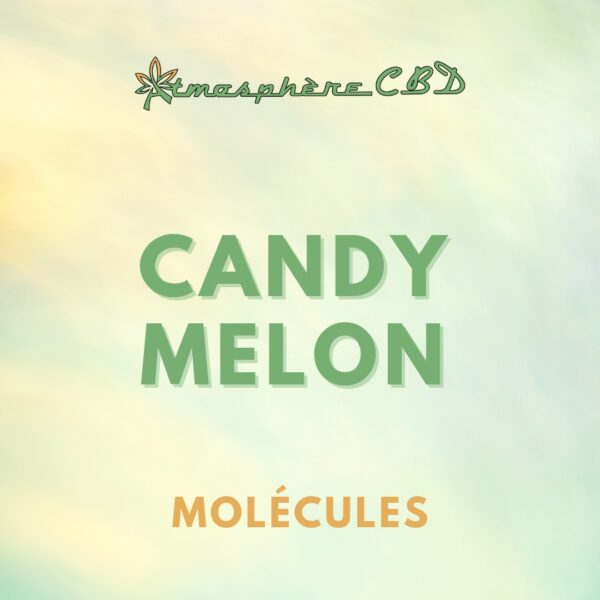 Candy Melon