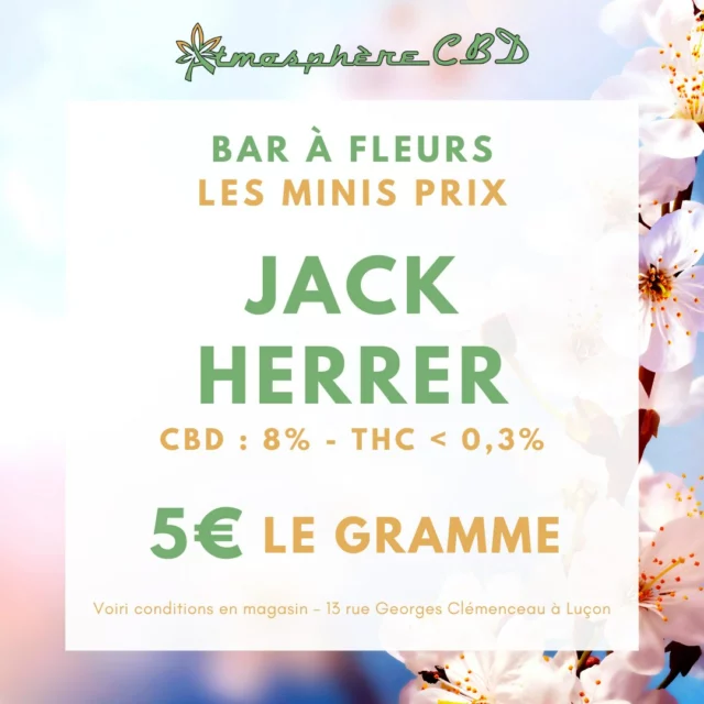 🌿 BAR À FLEURS : Découvrez les minis prix du moment 🌟

➡ JACK HERRER (8% de CBD - THC < 0,30%) : 5€ le gramme
➡ MAGIC SNOW (4,44% de CBD - 0,20% de THC) : 4€ le gramme
➡ NÉPAL (20% de CBD - 8% de CBG - 0,25% de THC) : 5€ le gramme

Rendez-vous en boutique, au 13 rue Georges Clémenceau à Luçon, pour profiter de ces offres et découvrir plus d'une vingtaine variétés de fleurs de CBD